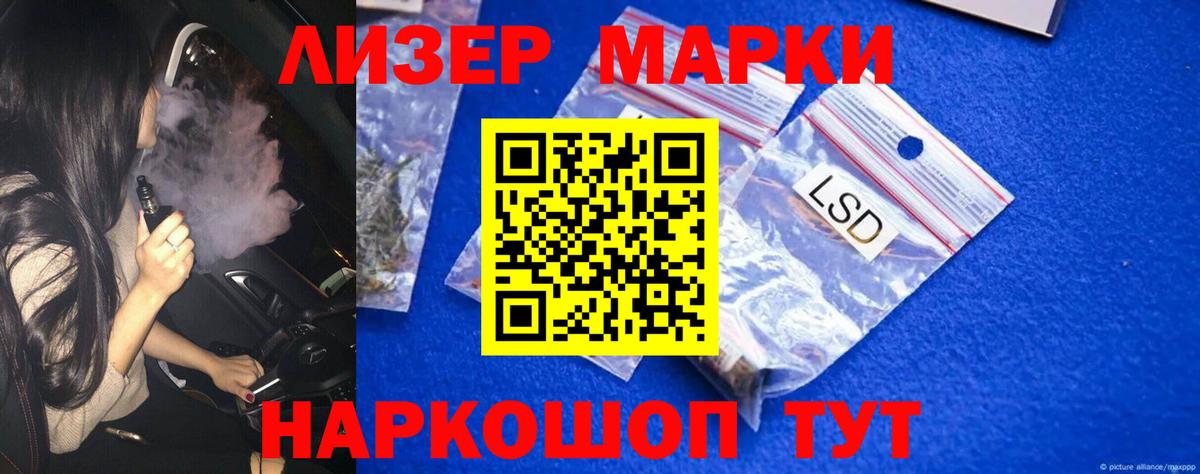 Лсд 25 Кингисепп