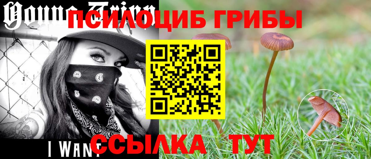 Псилоцибиновые грибы ЛСД  хочу   Кингисепп  Вход с VPN 